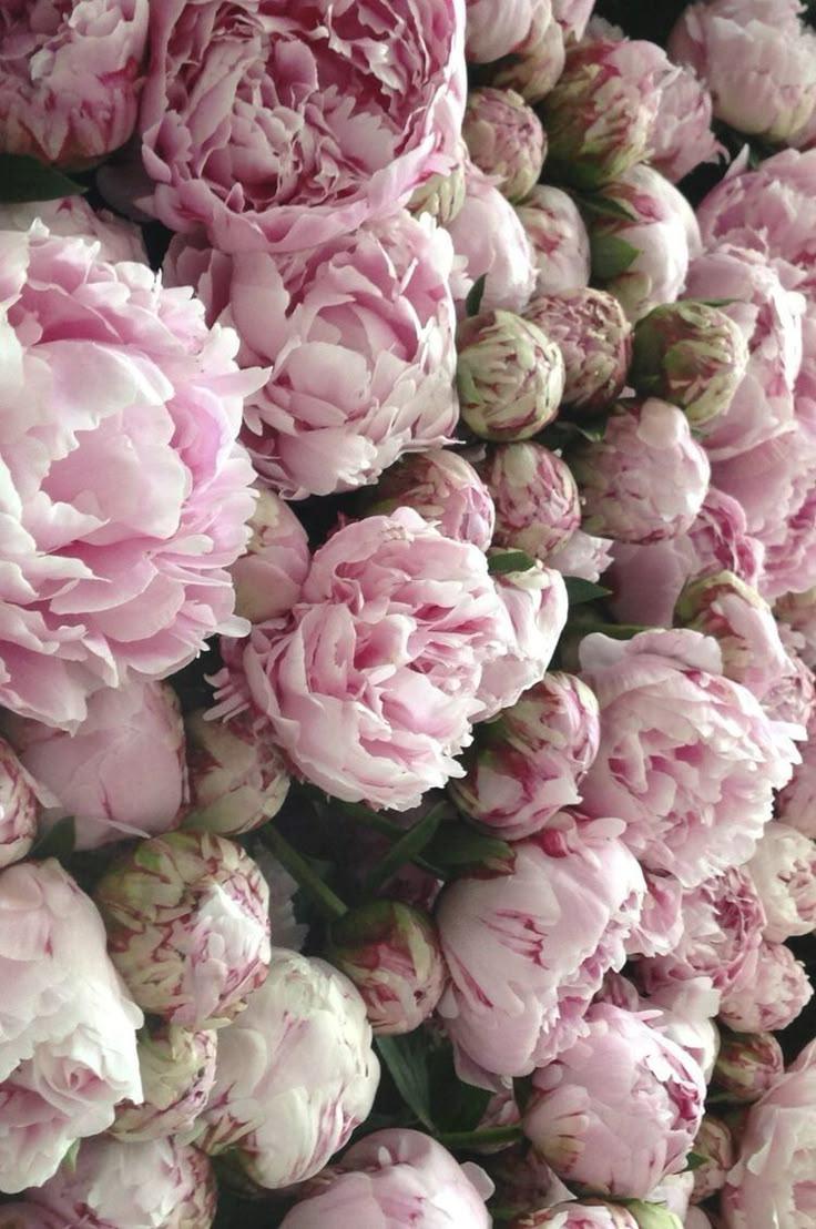 Corporate floral consultation example